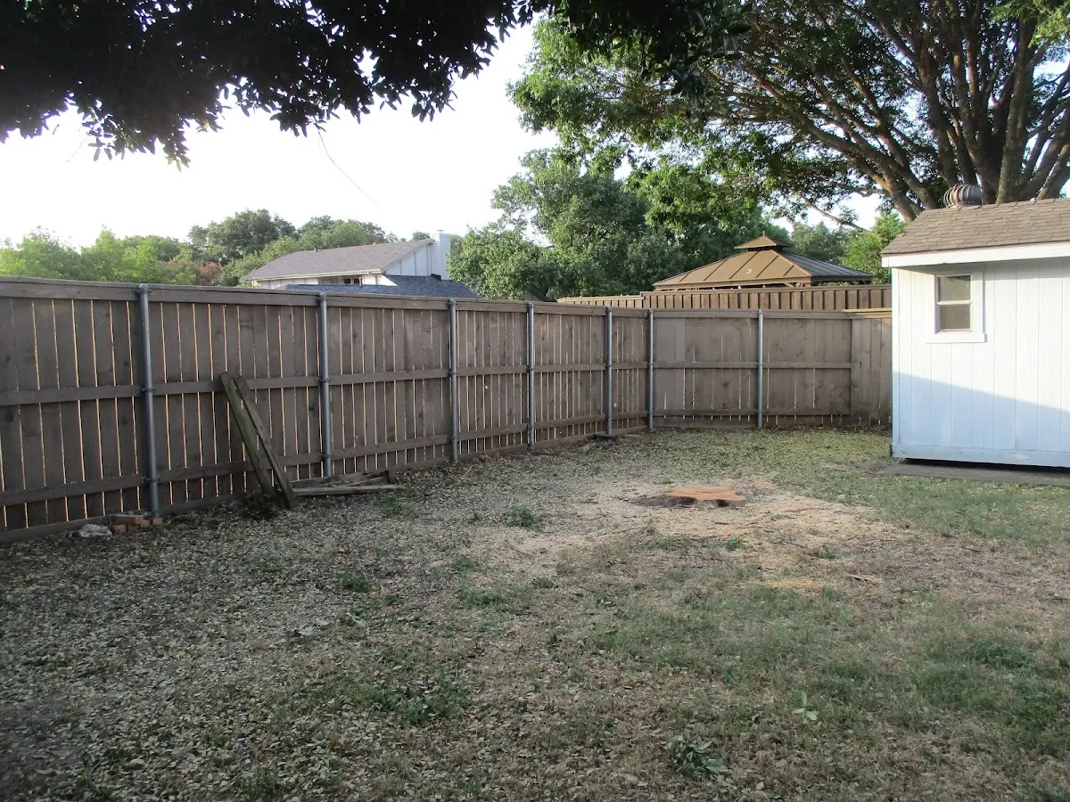 Cleared yard after professional tree removal in Frenchburg