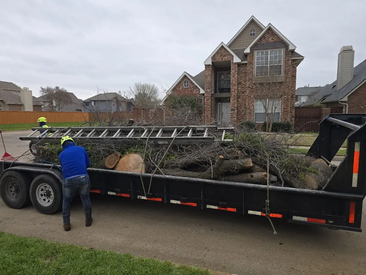 Expert Tree Pest Control with proper safety equipment in Frenchburg